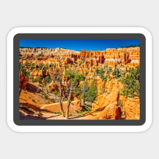 Bryce Canyon National Park Sticker